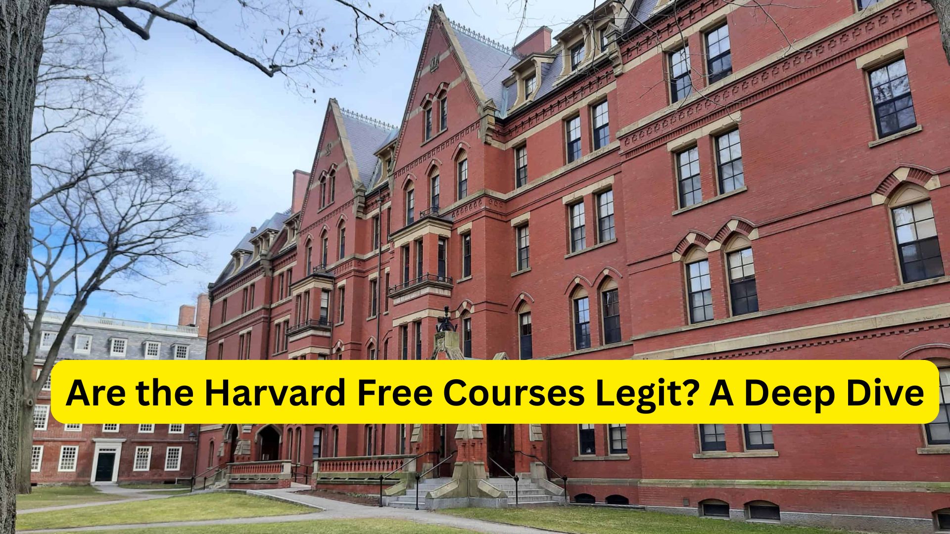 Are the Harvard Free Courses Legit? A Deep Dive