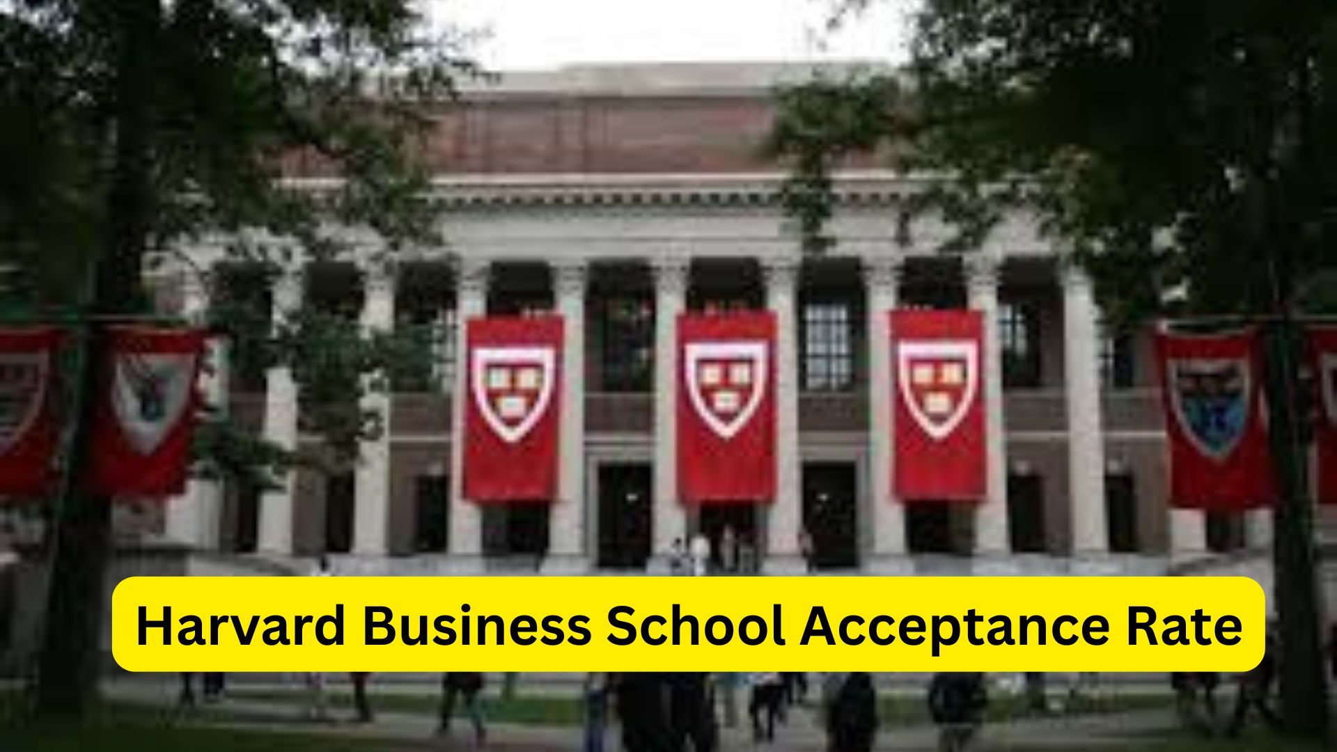 Harvard Business Acceptance Rate A Complete Guide for Aspiring Applicants