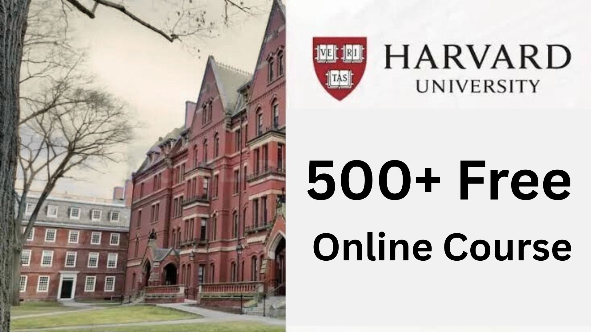How to Take Free Harvard Online Courses? 1 How to Take Free Harvard Online Courses?
