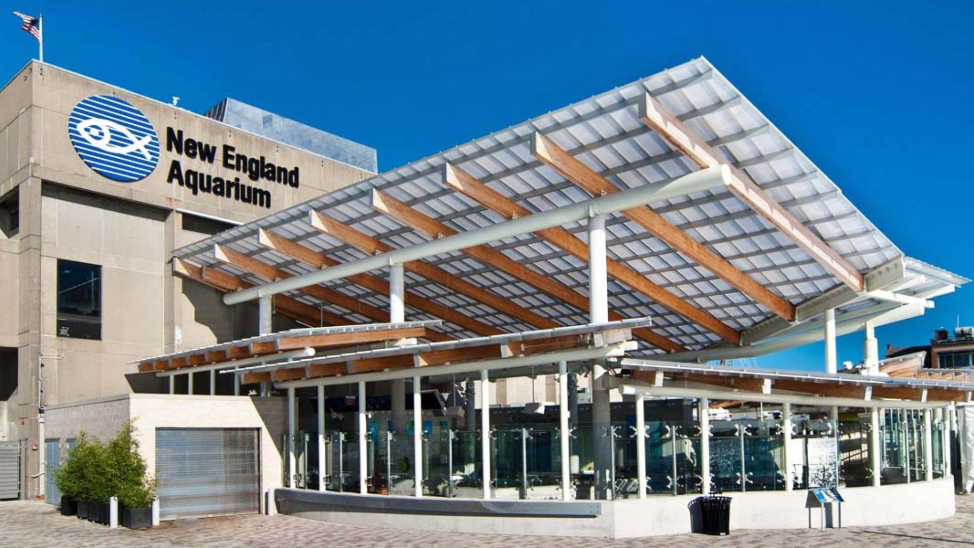 New England Aquarium | Tickets, Hours, Exhibits & Visitor Guide 2025