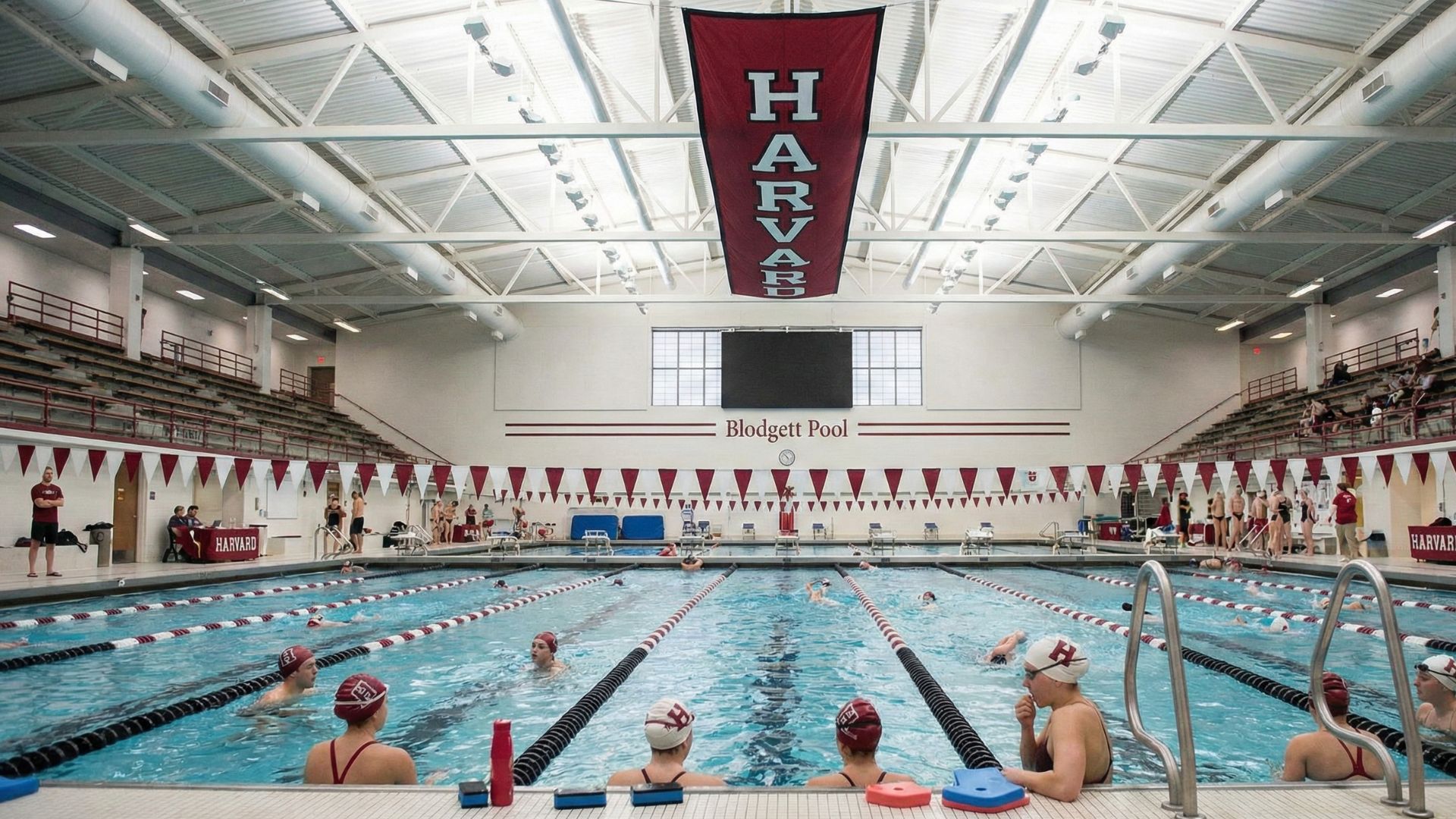 Swimming Harvard: Training, Competitions, and Student-Athlete Opportunities